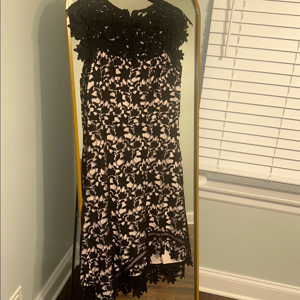 Eliza J. Elegant Black Lace  Dress